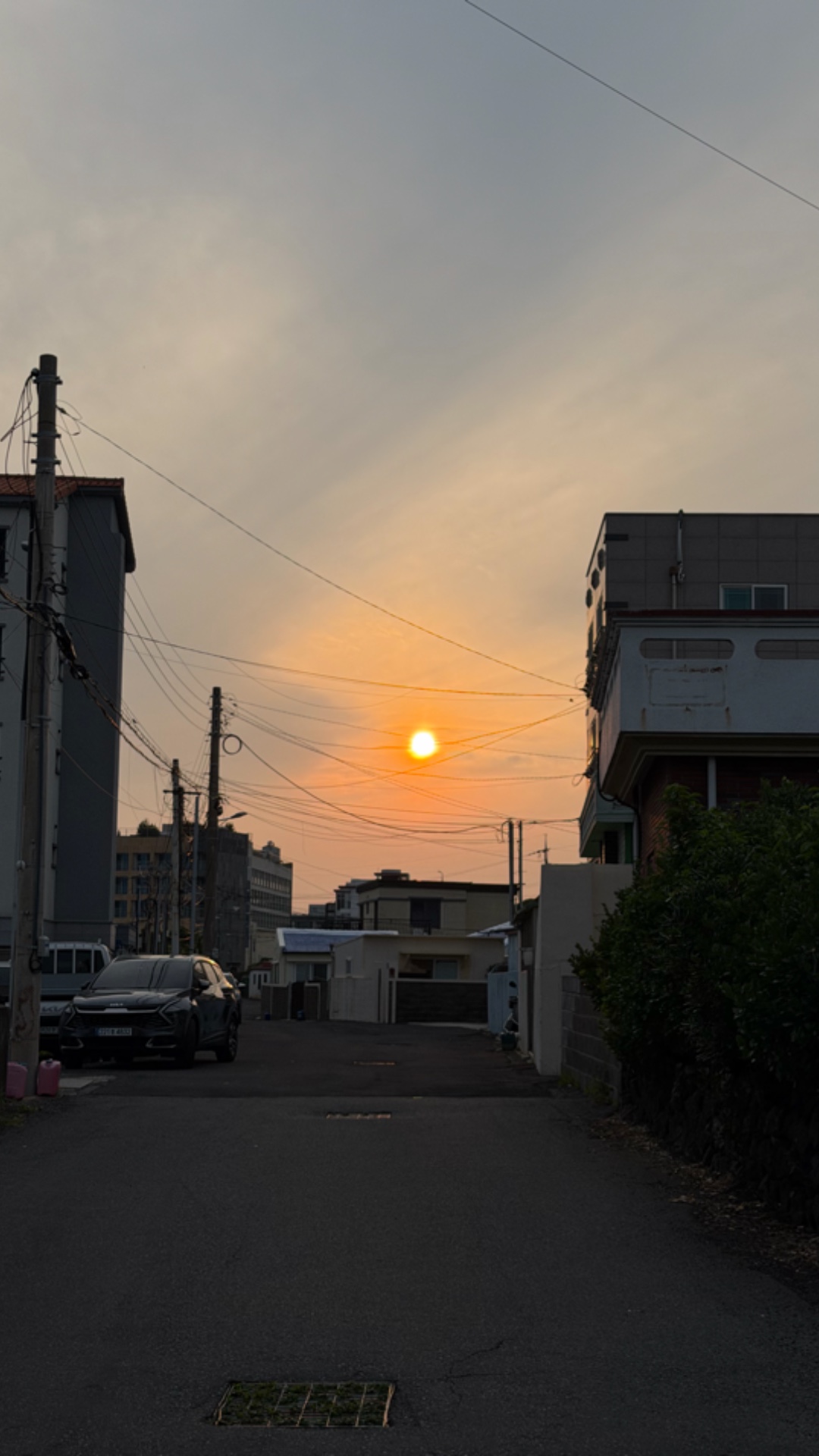 동백집 사진 8