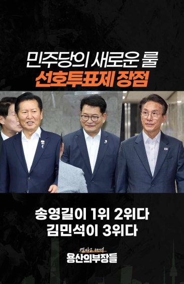 민주당의 새로운 룰, 선호투표제 장점