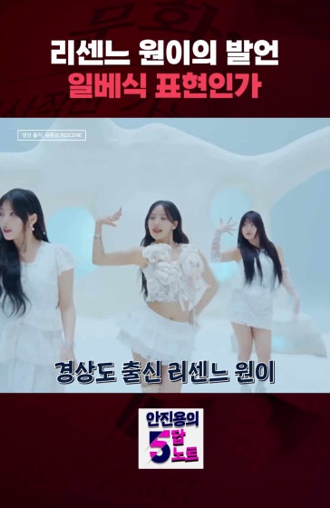 리센느 원이의 발언, 일베식 표현인가