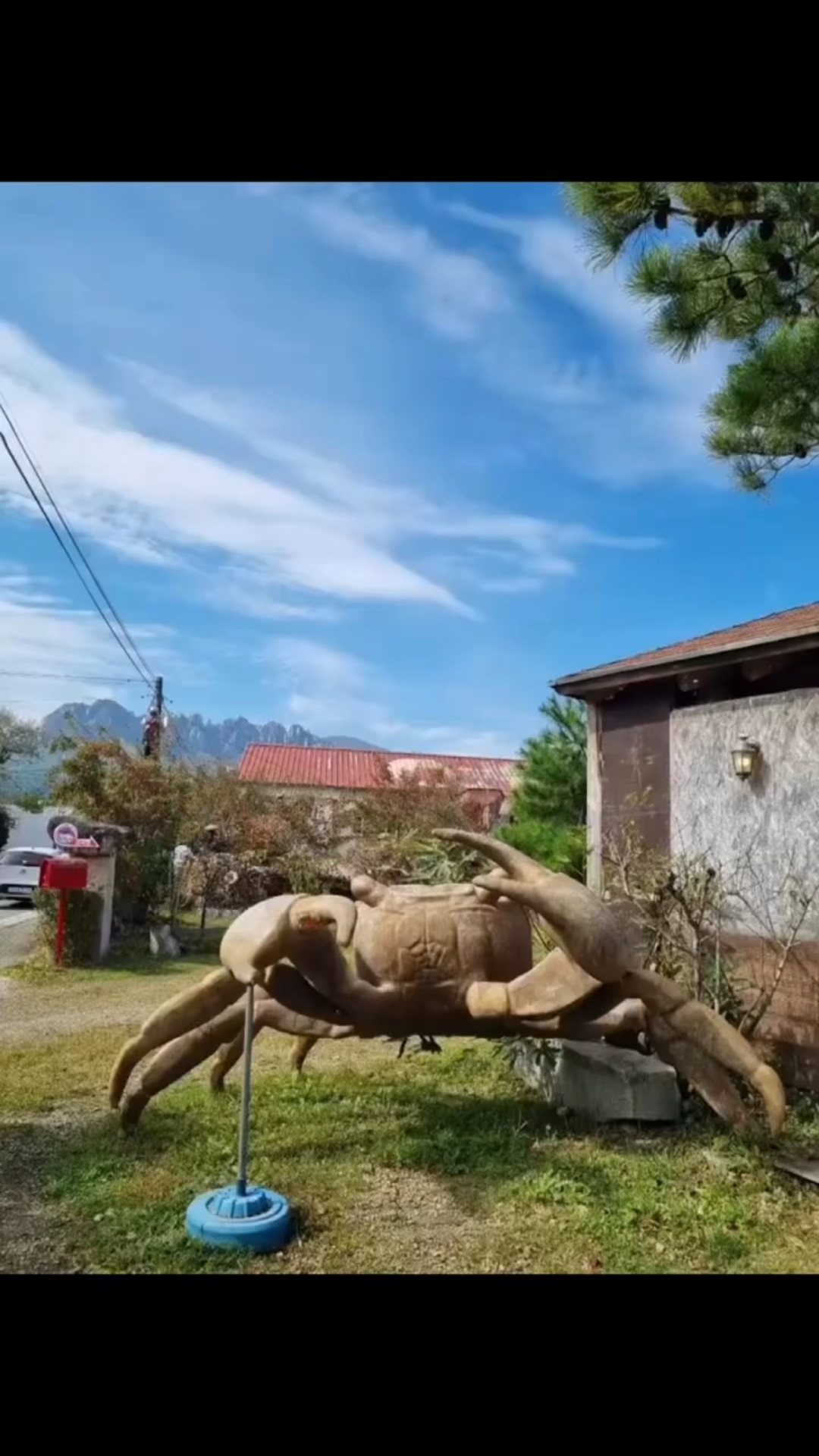 테라크랩팜 (Tera Crab Farm) 3