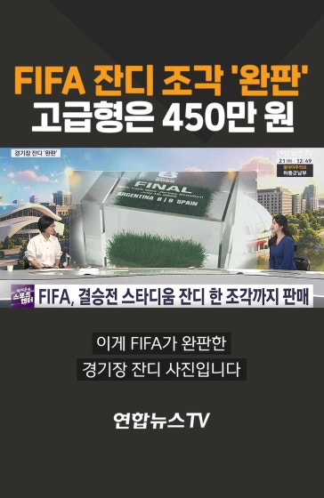 FIFA 잔디 조각 완판…고급형은 450만원