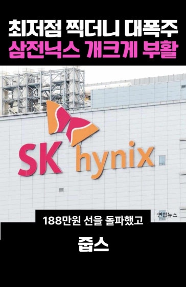 최저점 찍더니 대폭주! 삼전닉스 개크게 부활