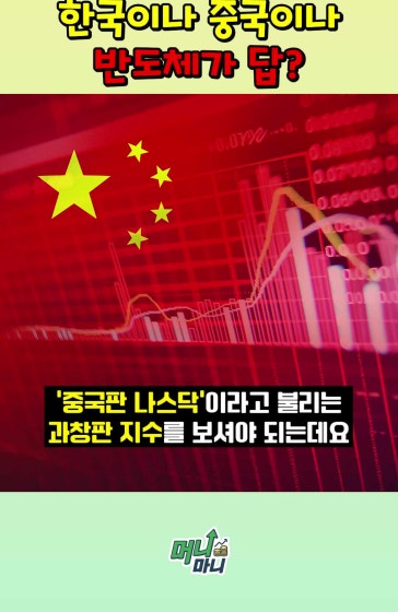 이래나저래나 반도체가 답인가 