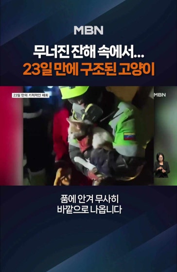 23일 만의 기적적인 재회