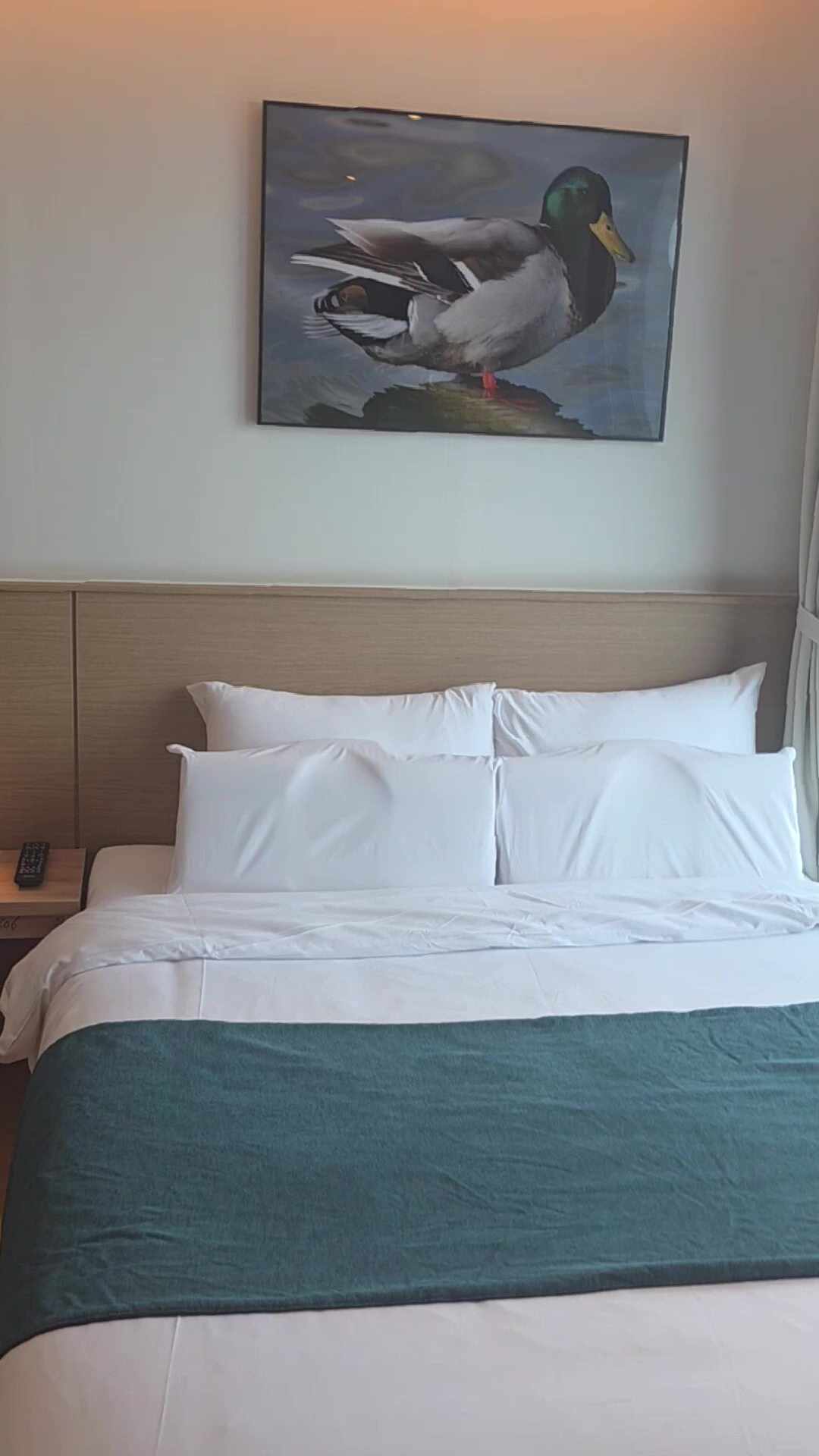 속초베케이션호텔 3
