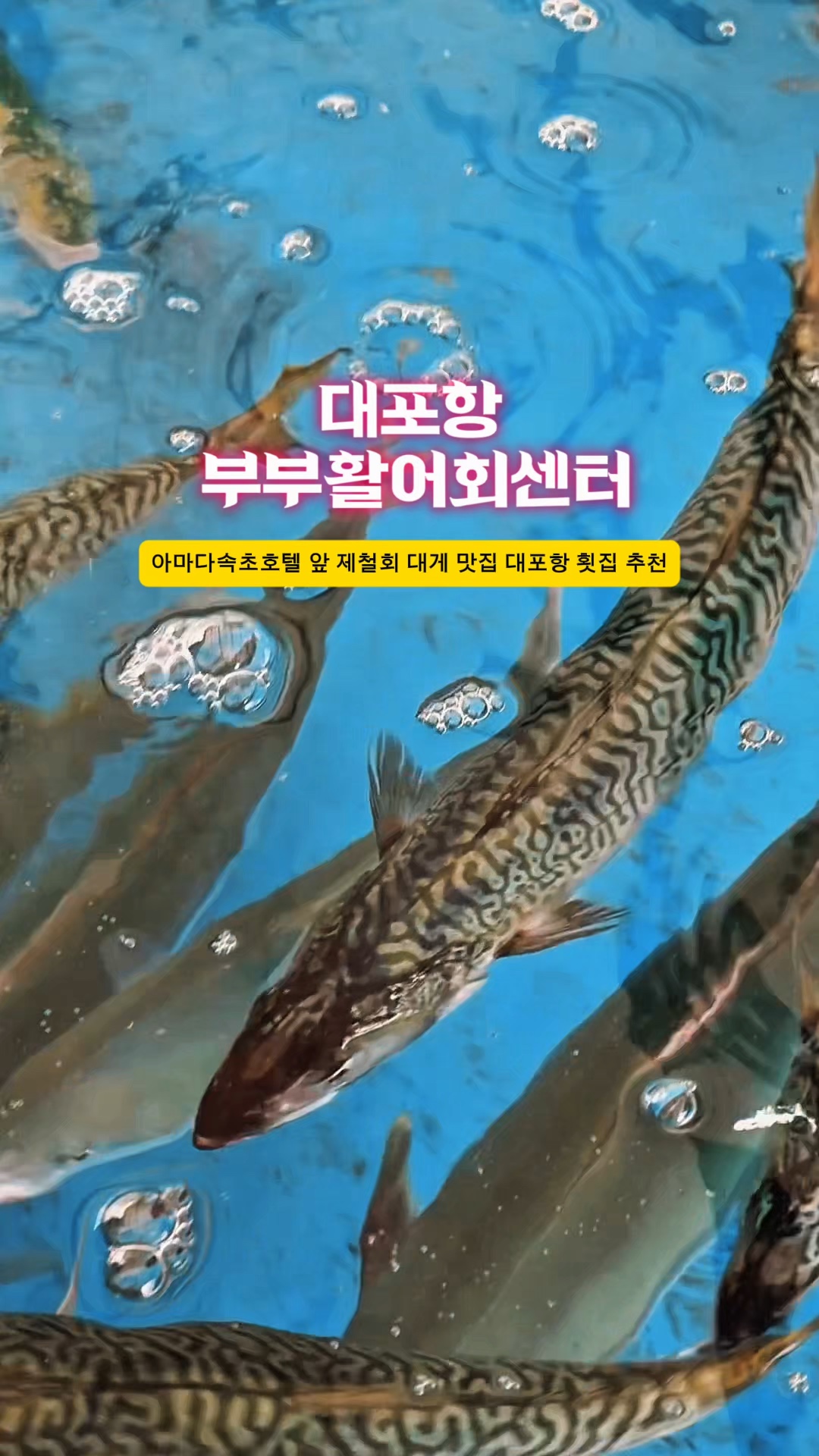 부부활어회센터 2