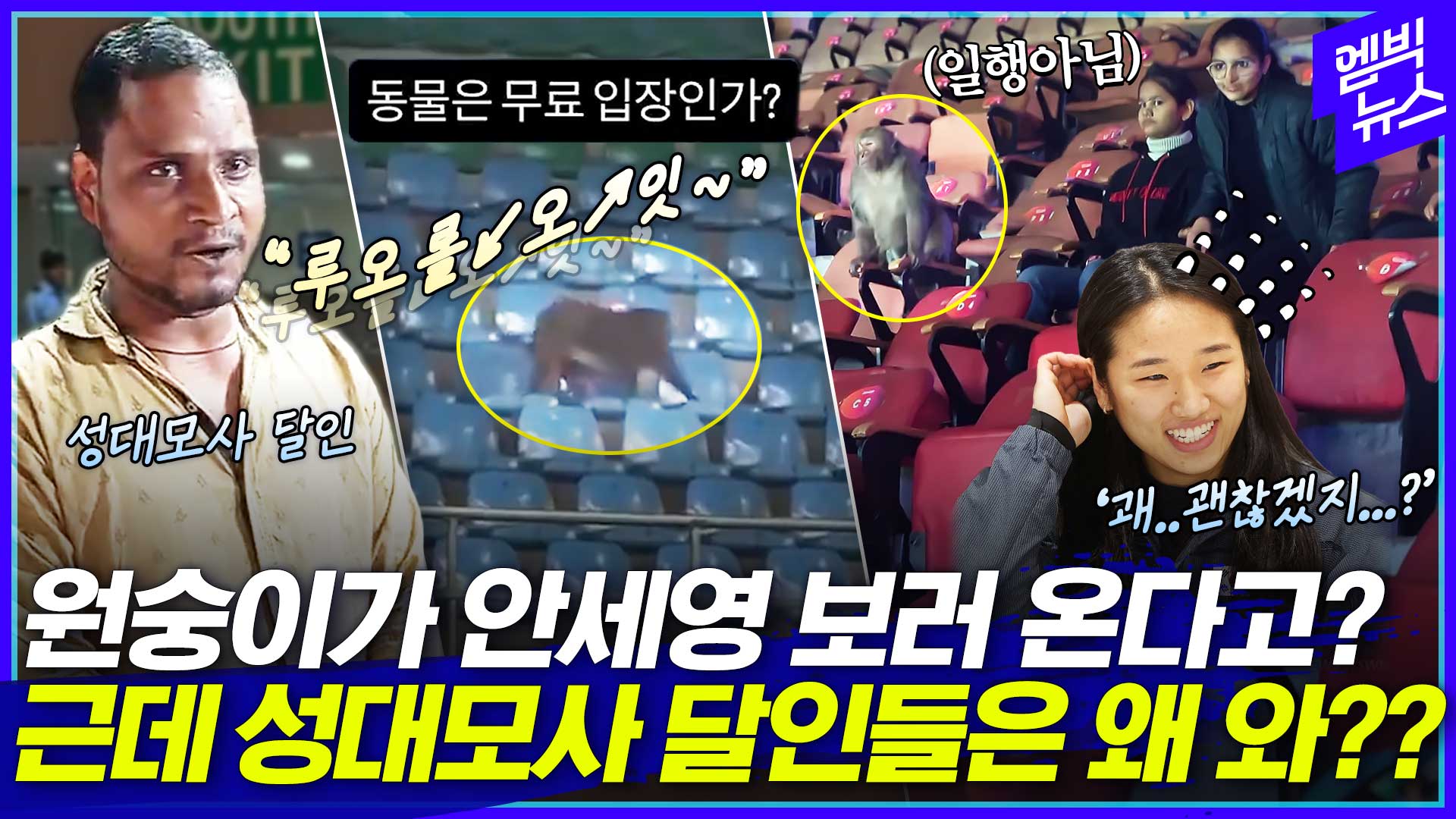 [엠빅스포츠] 인도 배드민턴장에 원숭이 성대모사 달인들이 모였다?