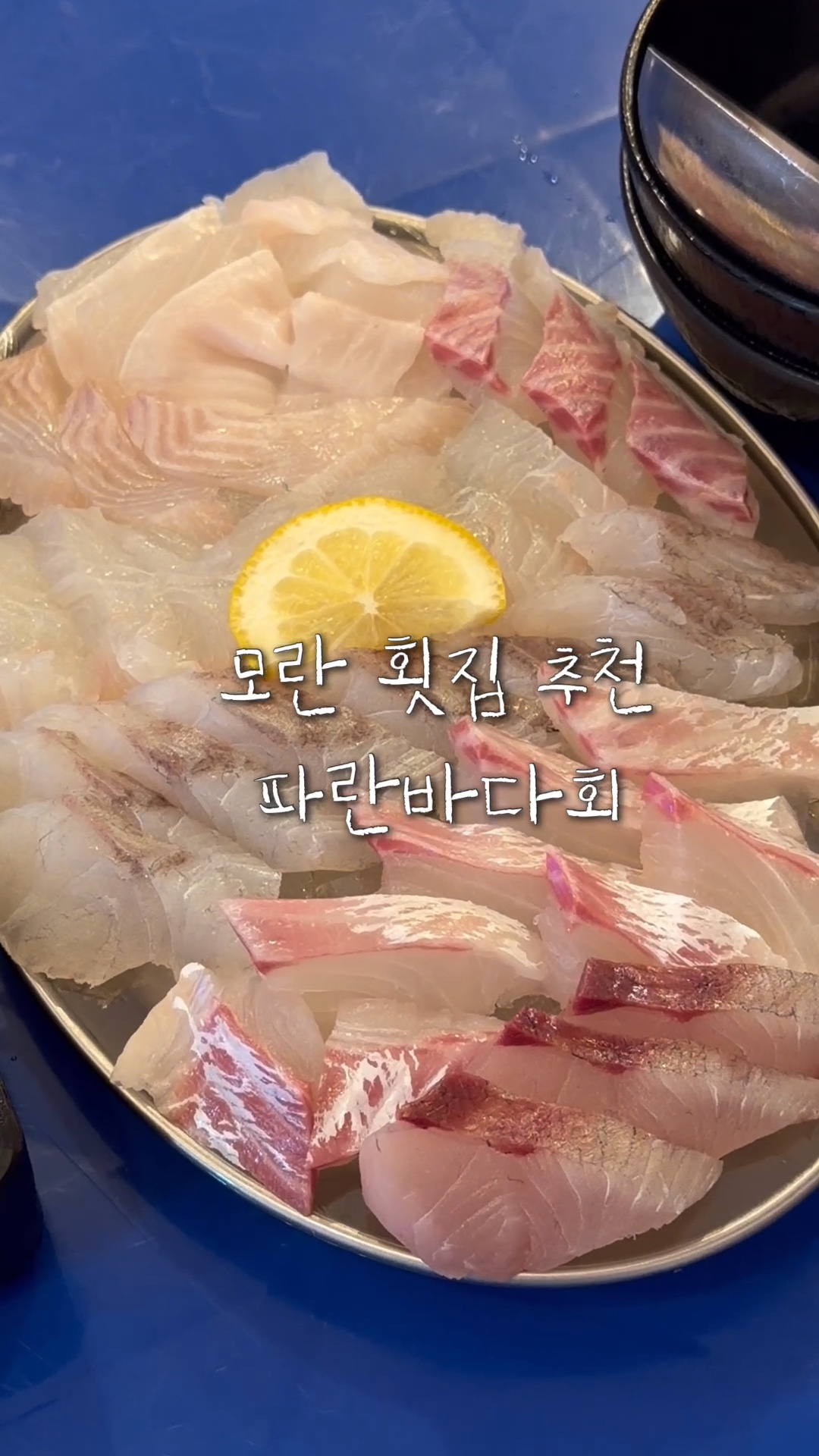 파란바다회 사진 3