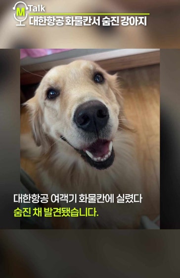대한항공 화물칸서 숨진 강아지