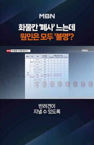 화물칸 탄 반려견 왜 숨졌나