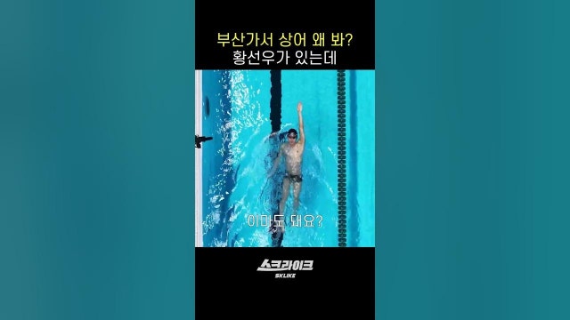 부산가서 상어 왜 봐? 황선우가 있는데