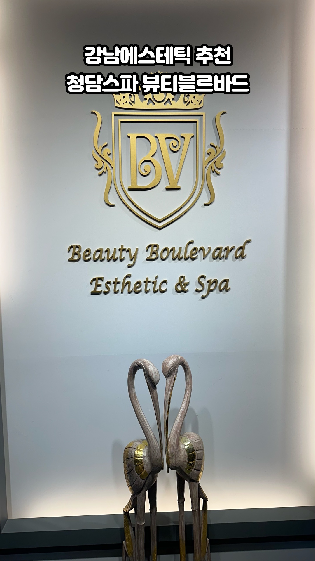 Beauty Boulevard · 视频
